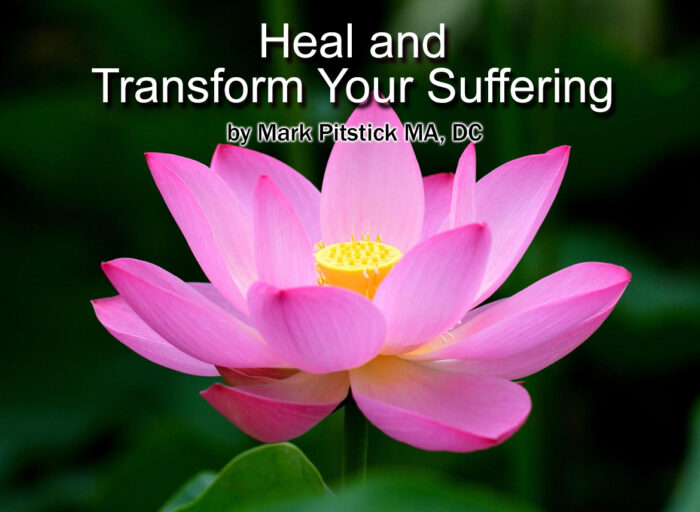 Heal and Transform Your Suffering