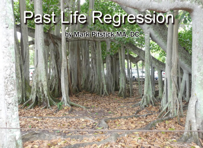 Past Life Regression