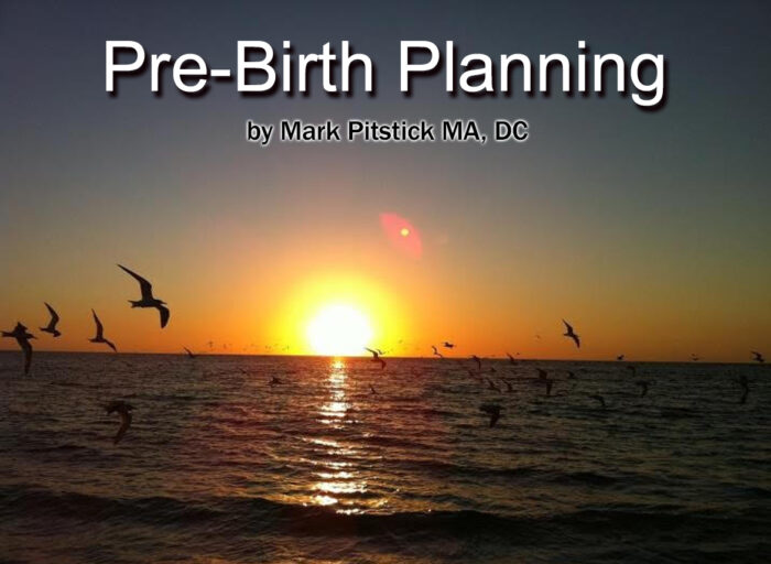 Pre-Birth Planning